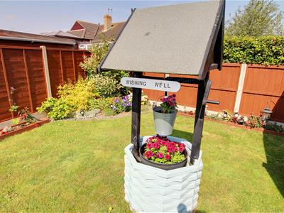 Picture 20